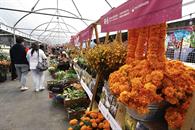 Profeco instalará módulos para quejas durante Día de Muertos