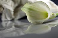 Enferma vivir con el muerto; deja ir el dolor...