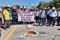 Respalda CEM a productores de maíz; sus exigencias no son caprichos Respalda CEM a productores de maíz; sus exigencias no son caprichos