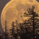 Los eventos astronómicos de noviembre 2025