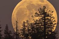 Los eventos astronómicos de noviembre 2025