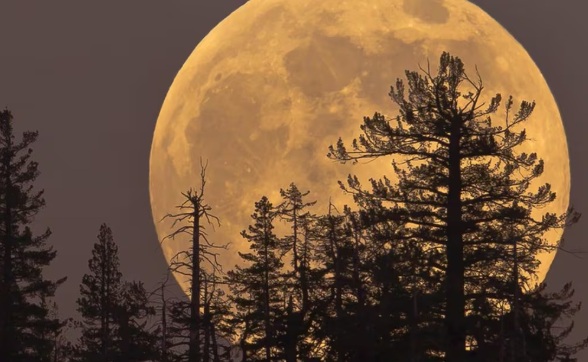 Los eventos astronómicos de noviembre 2025 Los eventos astronómicos de noviembre 2025