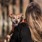 El otro duelo: Perder al mejor amigo