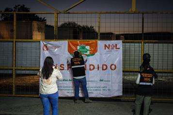 Suspende Medio Ambiente taller donde maltrataban gatos