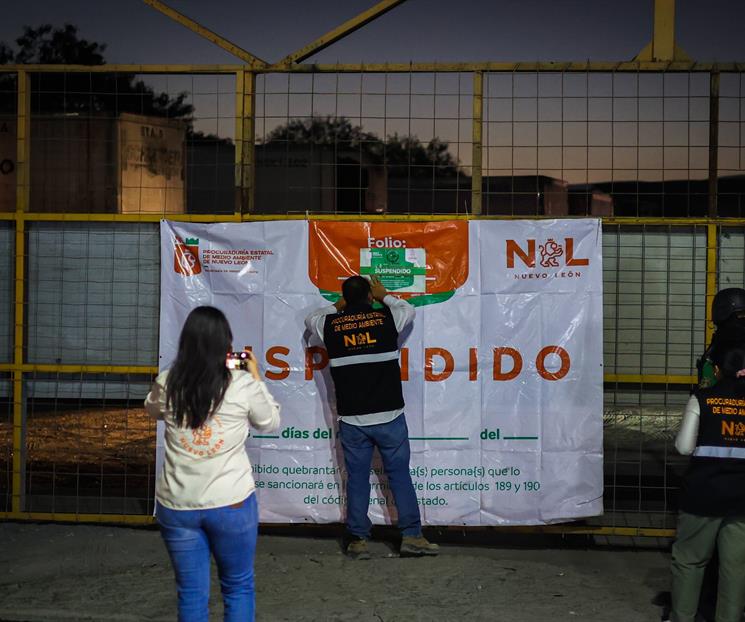 Suspende Medio Ambiente taller donde maltrataban gatos