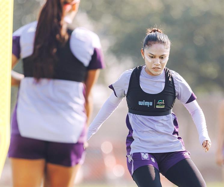 Buscan felinas triunfo para llegar bien a Liguilla