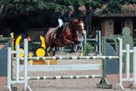 Triunfa Andrea Calderón