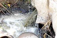 Señala SNIA que más del 80% de los ríos de México están contaminados Señala SNIA que más del 80% de los ríos de México están contaminados