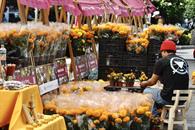 Día de Muertos: Profeco continúa con su operativo Fieles Difuntos Día de Muertos: Profeco continúa con su operativo Fieles Difuntos