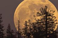 Superluna de Castor 2025. ¿Cuándo ver la Luna más grande del año?