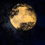 Luna del Castor: esta es la hora exacta