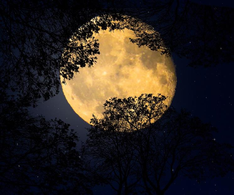 Luna del Castor: esta es la hora exacta