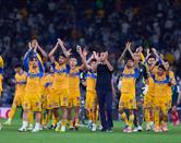 Tigres y sus 12 juegos sin perder 