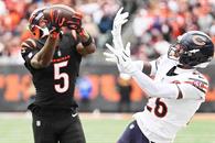 Osos y Bengalíes sacan lo explosivo