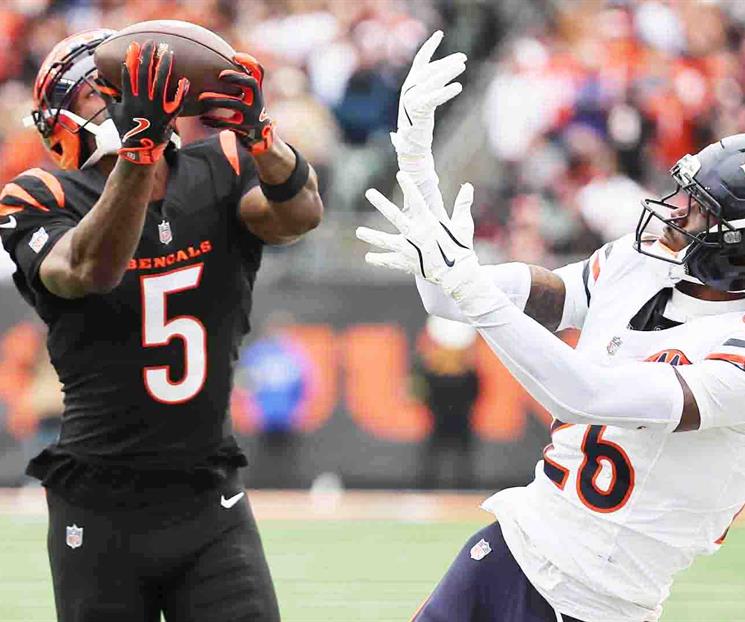 Osos y Bengalíes sacan lo explosivo