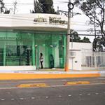 Última dispersión de Pensión Bienestar 2025 será en noviembre