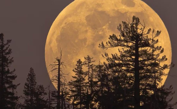 Luna del Castor 2025: trucos de fotografía Luna del Castor 2025: trucos de fotografía