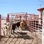 Sostienen reunión Claudia y USDA en Palacio Nacional