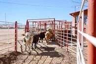Sostienen reunión Claudia y USDA en Palacio Nacional