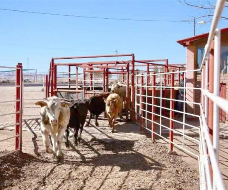 Se reúne Sheinbaum y USDA de Estados Unidos Se reúne Sheinbaum y USDA de Estados Unidos