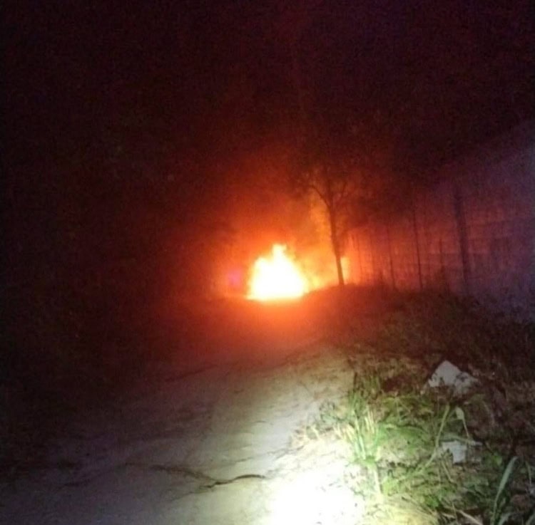 imagen-cuerpo imagen-cuerpo