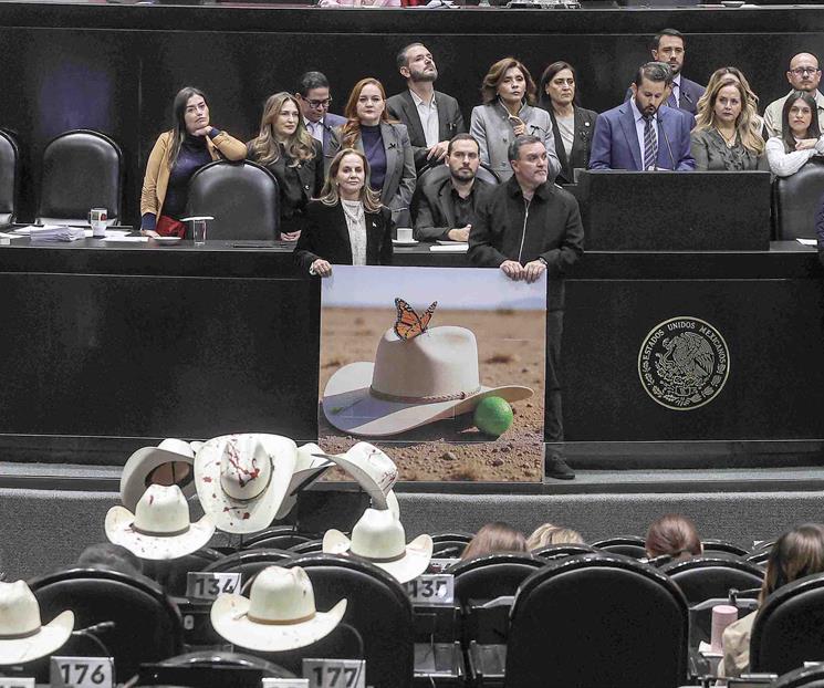Protestan contra diputados de Morena en Pleno del Senado Protestan contra diputados de Morena en Pleno del Senado