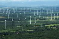 Piden acelerar la transición a la energía eólica Piden acelerar la transición a la energía eólica