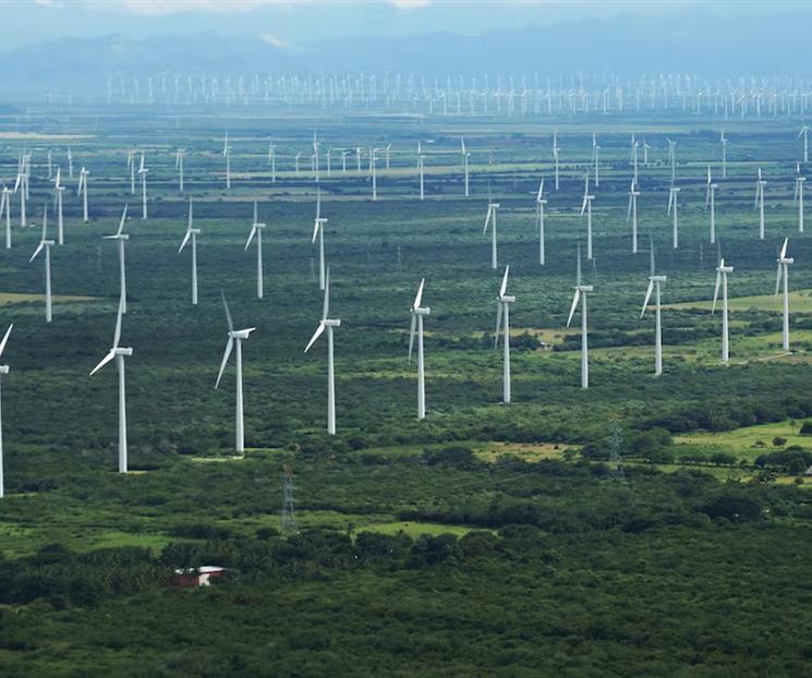 Piden acelerar la transición a la energía eólica Piden acelerar la transición a la energía eólica