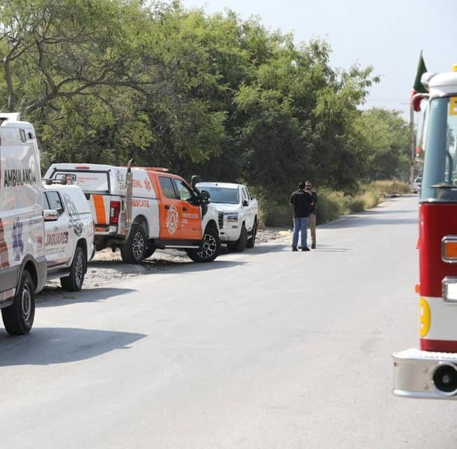 La Dirección de Protección Civil de Santiago, emitió un aviso exhortando a los ciudadanos a extremar precauciones al transitar por la Carretera Nacional, luego que un tráiler regara varias cajas con abejas.