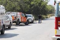 Alertan por abejas en la Nacional Alertan por abejas en la Nacional