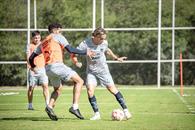 Rayados necesitan de un triunfo