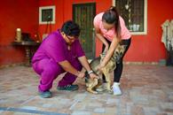 Implementa SC la ´Veterinaria a Domicilio´ y brindan 200 servicios Implementa SC la ´Veterinaria a Domicilio´ y brindan 200 servicios