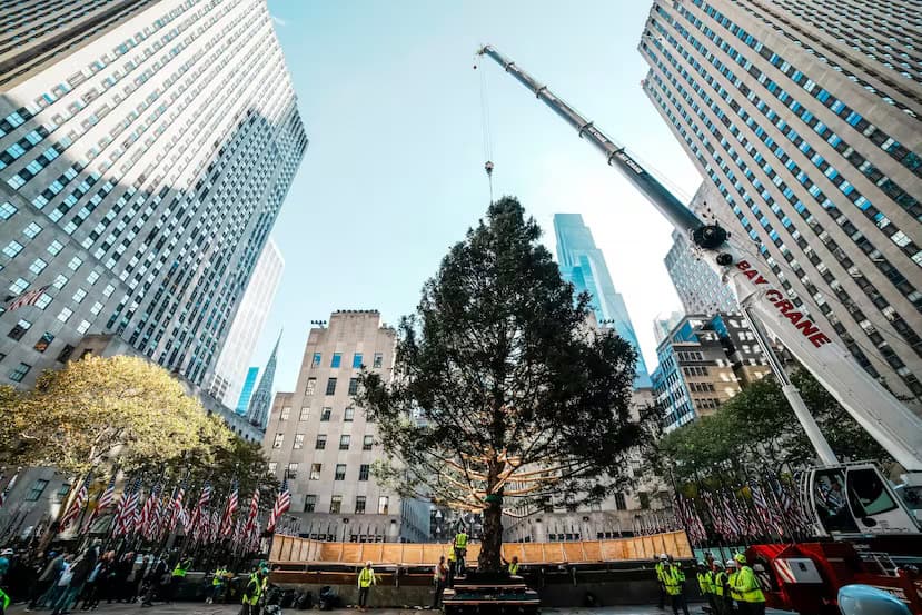 Llega Árbol de Navidad del Centro Rockefeller a Manhattan