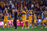 Da Guido descanso a sus Tigres y volverán el miércoles a prácticas