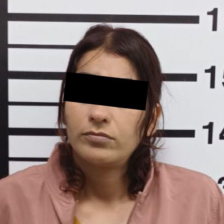 Luego de que elementos de la Secretaría de Seguridad Pública y Vialidad de Santiago, detuvieron a dos mujeres por alterar el orden al interior de un hotel ubicado en el municipio, la Fiscalía General de Justicia del Estado ejecutó una orden de aprehensión vigente a una de ellas.