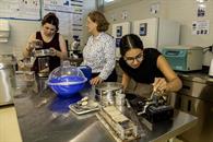 Logran alumnas UDEM lugar en foros de ciencia nacionales