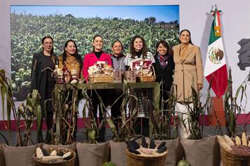 Gobierno anuncia Plan Nacional del Maíz Nativo