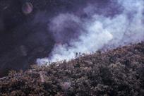 Alarma incendio en Cerro de las Mitras