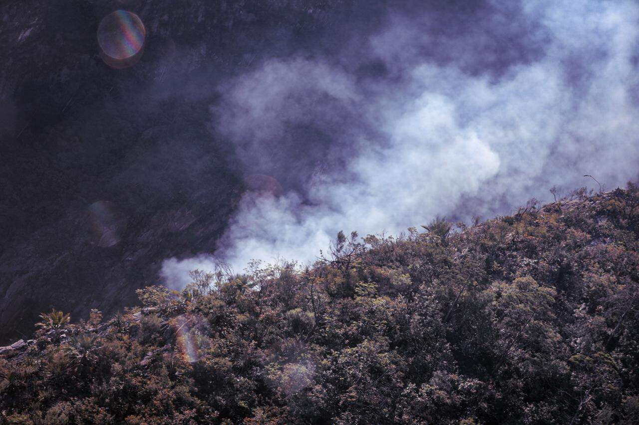 Un incendio forestal en el Cerro de Las Mitras, movilizó ayer a elementos de Protección Civil del Estado y Monterrey.