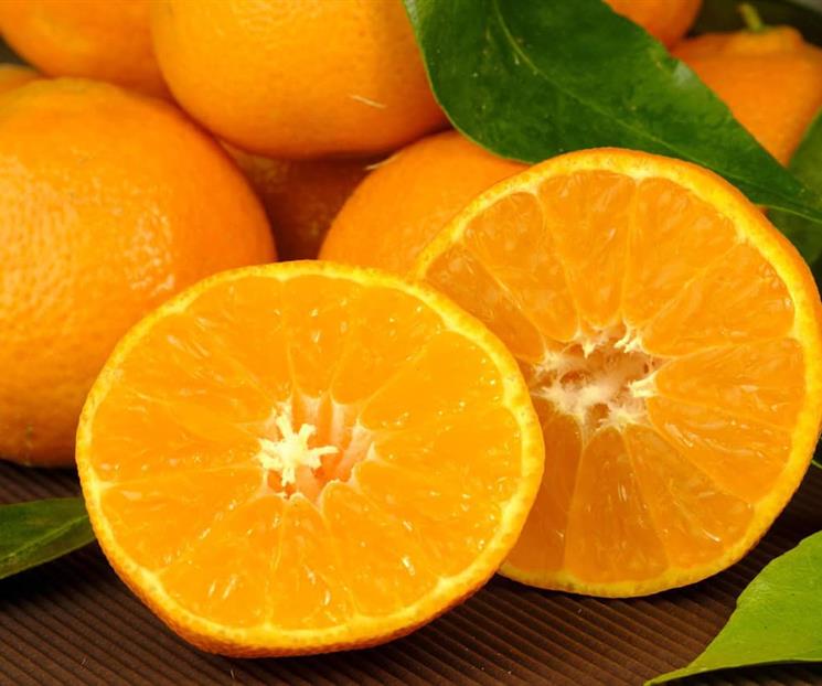 Cuáles son los alimentos que aportan más colágeno