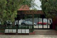 Pierde la vida por mordedura de araña