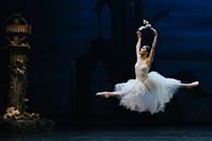 Giselle vuelve al Palacio de Bellas Artes
