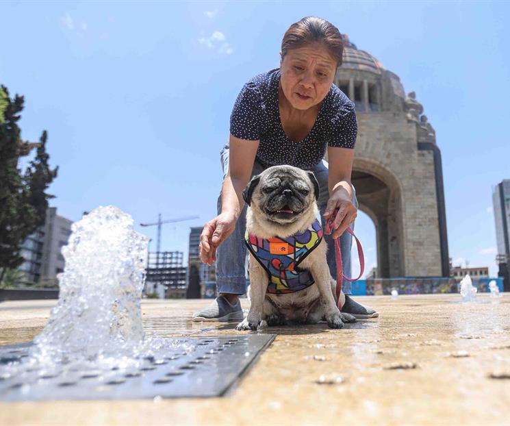 Impulsa la industria de mascotas crecimiento global con perros