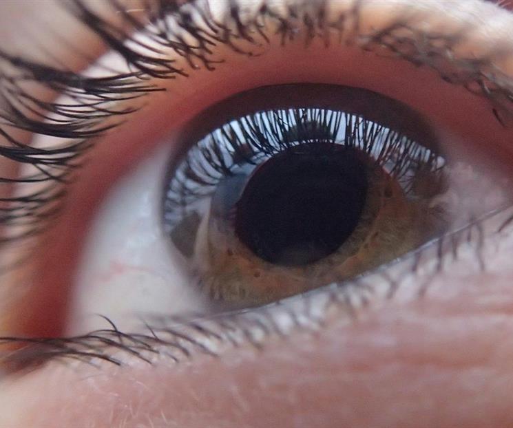 Para qué sirve aplicar vaselina en las pestañas