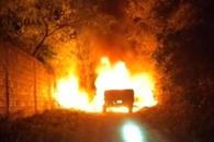 Detienen a dos por muerte de trabajador