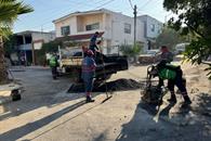 Limpian áreas verdes para prevenir riesgos