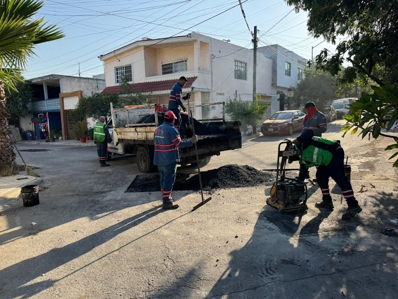 Limpian áreas verdes para prevenir riesgos