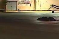 Fallece atropellado por motociclista en Guadalupe