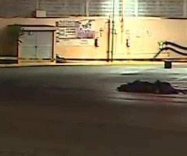 Fallece atropellado por motociclista en Guadalupe