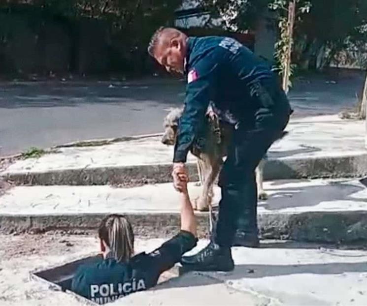 Rescatan a perro que cae a alcantarilla